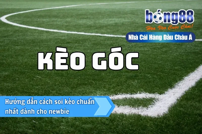 Hướng dẫn cách soi kèo chuẩn nhất dành cho newbie