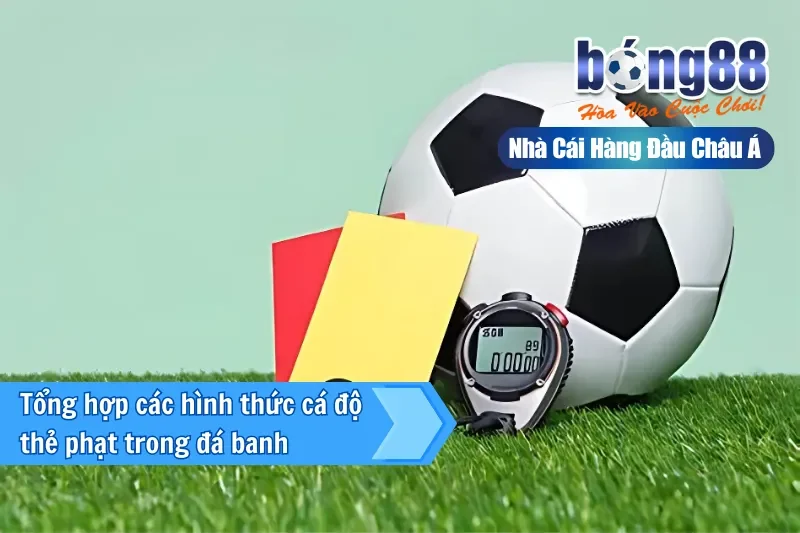Tổng hợp các hình thức cá độ thẻ phạt trong đá banh